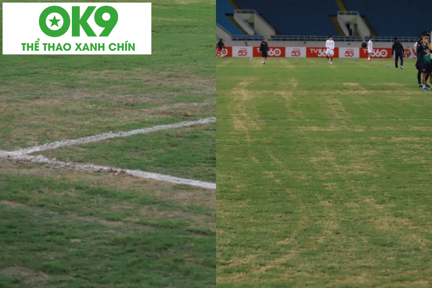 Mặt cỏ SVĐ Mỹ Đình xuống cấp nghiêm trọng Mặt cỏ SVĐ Mỹ Đình xuống cấp nghiêm trọng