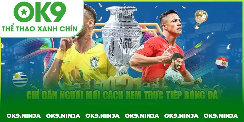 Các bước truy cập và theo dõi bóng đá trực tiếp tại kênh Các bước truy cập và theo dõi bóng đá trực tiếp tại kênh Lương Sơn TV