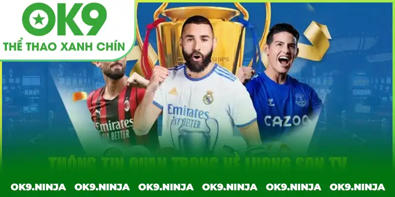 Tổng quan chung về trang web Tổng quan chung về trang web Lương Sơn TV