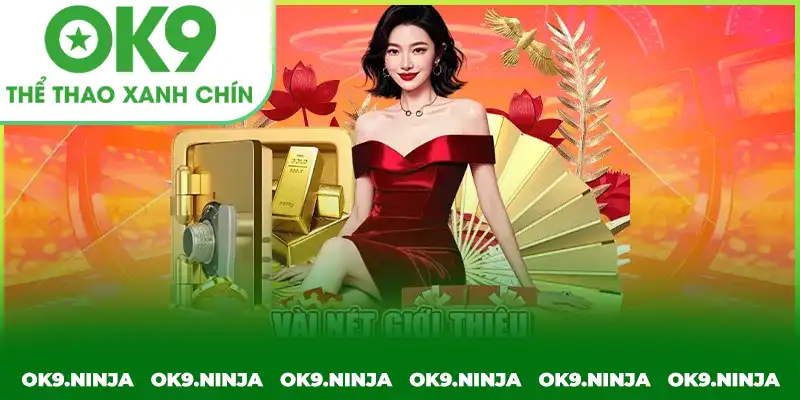 Vài nét giới thiệu hệ thống cho người mới Vài nét giới thiệu hệ thống cho người mới